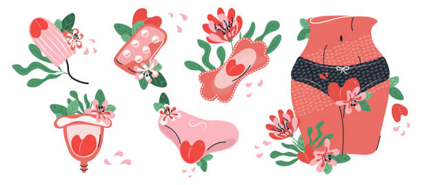 stockillustraties, clipart, cartoons en iconen met periode power. reeks menstruatie, periode, vrouwelijke baarmoeder, reproductieve systeemstickers. vrouw met tampon, slipje, menstruele kop, maandverband, baarmoeder in beeldverhaalvectorillustratie die op witte achtergrond wordt geïsoleerd. bloemen regeli - damesonderbroek