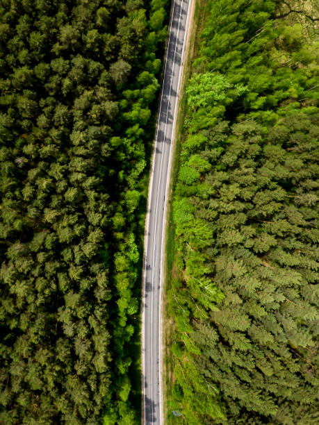 istock The asphalt forest road. Aerial view. 1321693428