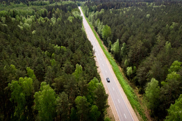 istock The road through the forest. Top view. 1321693445