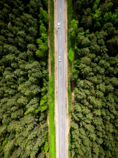 istock The road through the forest. Top view. 1321693450