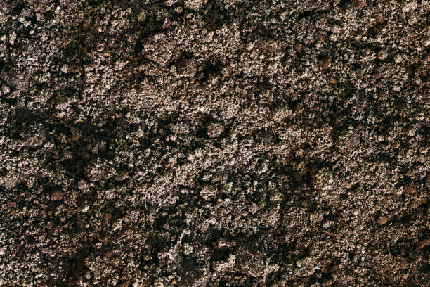 Soil dirt background texture, natural pattern. Agricultural background