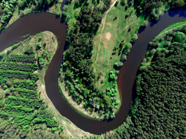 istock Aerial view of the forest river.. 1321694510