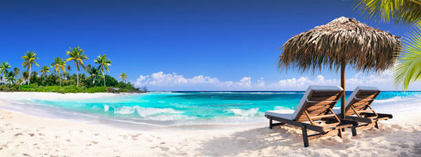 istock Chairs In Tropical Beach With Palm Trees On Coral Island 1321697305