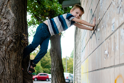 The boy climbs a tree and the wall of a building on the street.
