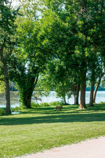 istock Park bench along the Grand River 1321700434