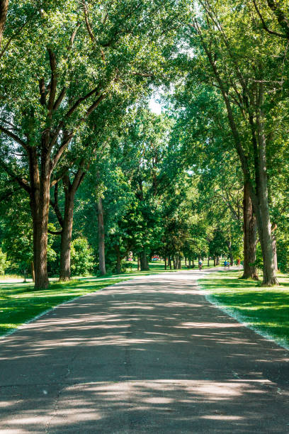 istock Walking path in a park in Grand Rapids Michigan 1321700490