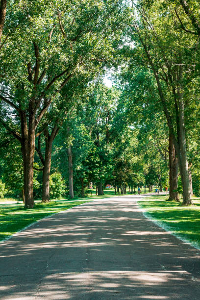 istock Walking path in Grand Rapids Michigan 1321700602