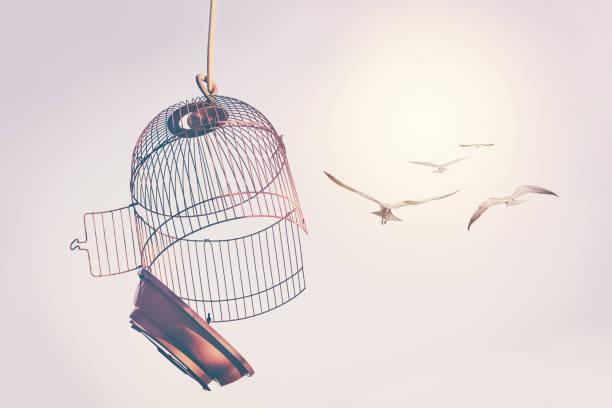 Birds escape out birdcage A flock of birds broke the cage and flew into the sky. The desire to change life concept birdcage stock pictures, royalty-free photos & images