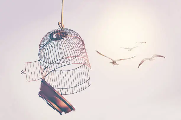 A flock of birds broke the cage and flew into the sky. The desire to change life concept