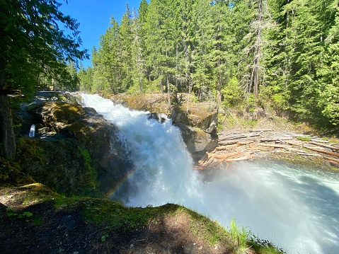Silver falls and Ohanapecosh River in Mount Rainier National Park.