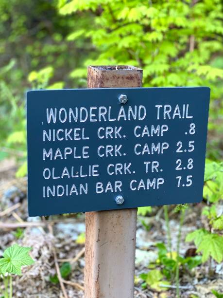 istock Wonderland Trail in Mount Rainier National Park 1321710271