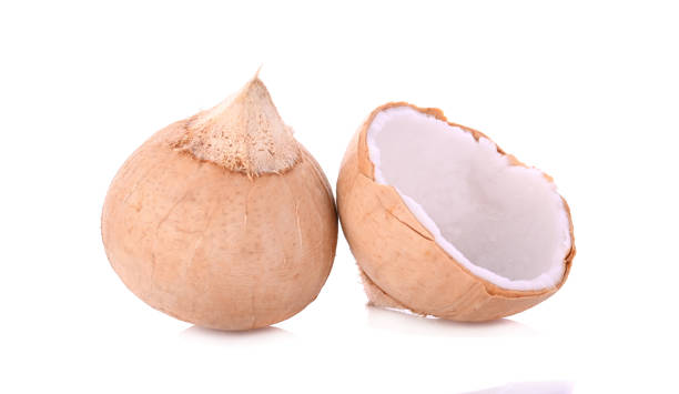 roasted coconut,brunt coconut isolated on white background - brunt imagens e fotografias de stock