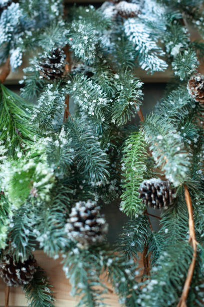 istock Beautiful coniferous branch. Pine branch. Needles. vertical photo 1321715047
