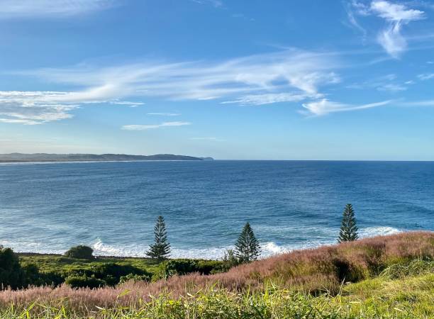 istock Headland Lookout View to Blue Ocean 1321717429