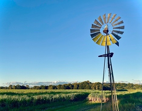 Horizontal landscape of traditional windmill or wind turbine in country farm crop fields under a blue clear sky with tree lined horizon in rural Mullumbimby near Byron Bay NSW Australia