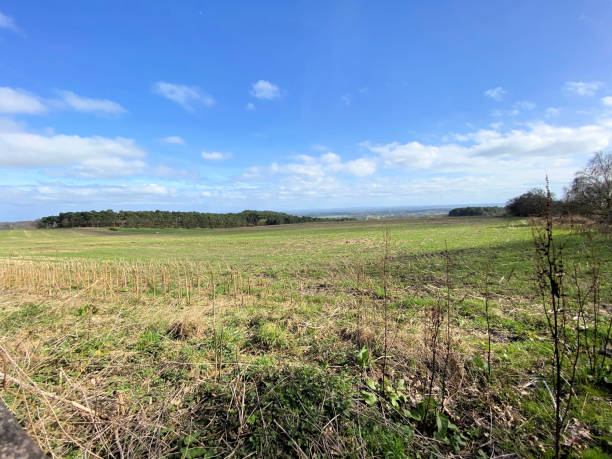 istock A view of the Cheshire Countryside around Bickerton 1321719103