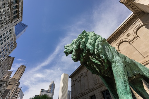 Chicago, United States - May 30, 2021: Dramatic view of bronze lion statue overlooking the city and welcoming visitors to the Art Institute of Chicago.