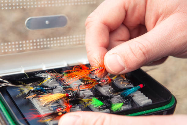 Selecting a fishing fly Close-up view of a fisherman choosing a fly for freshwater fishing on a river. fly fishing scotland stock pictures, royalty-free photos & images