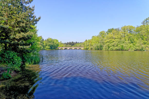 istock Five Arch Bridge - Virginia Water Lake - Surrey England UK 1321720484