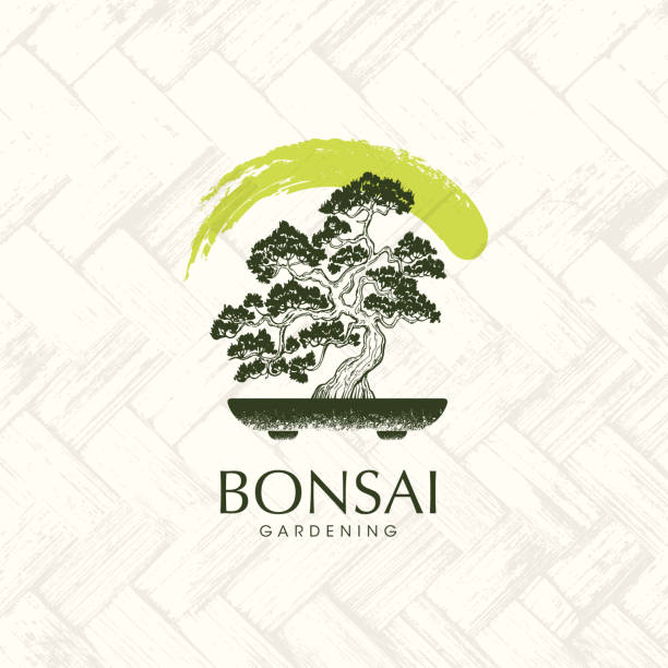 illustrations, cliparts, dessins animés et icônes de japonais bonsai garden zen tree logo. planter des icônes silhouette sur fond de tapis de palme. illustration vectorielle créative - bonsaï