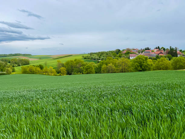 istock Agricultural field and small village 1321731464