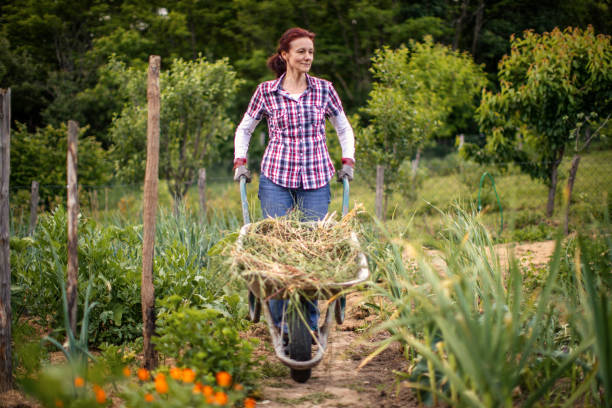 istock Beautiful woman working in garden 1321734228