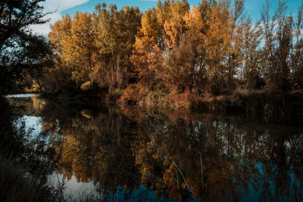 istock Bergantes river, Teruel province. Spian 1321736300