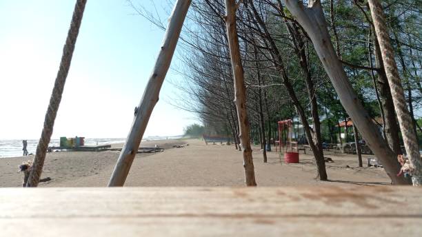 istock Beach view from behind a weathered old wooden swing. 1321739677