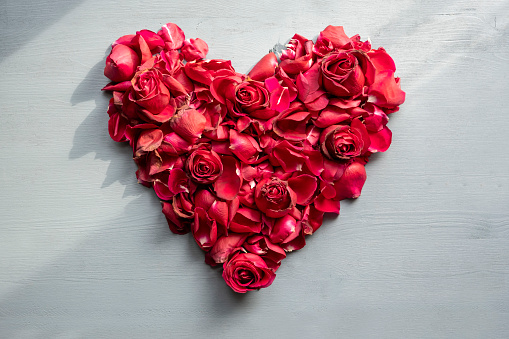 Love and Valentines day concept: View from above on a heart shape made of red rose leafs. Natural day light creating shadow. Grey wooden background with copy space.