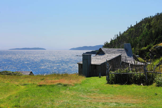 istock Old log house overlooking the ocean 1321746297