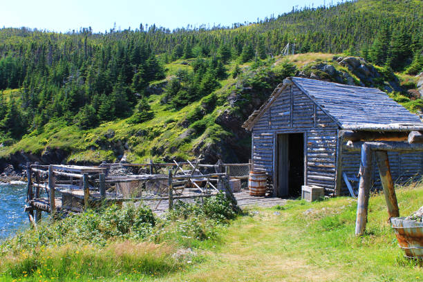 istock Log fishing shed and stage 1321746565