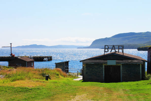 fischschuppen, ein pier und eine bar am wasser - cliff at the edge of grass sea stock-fotos und bilder