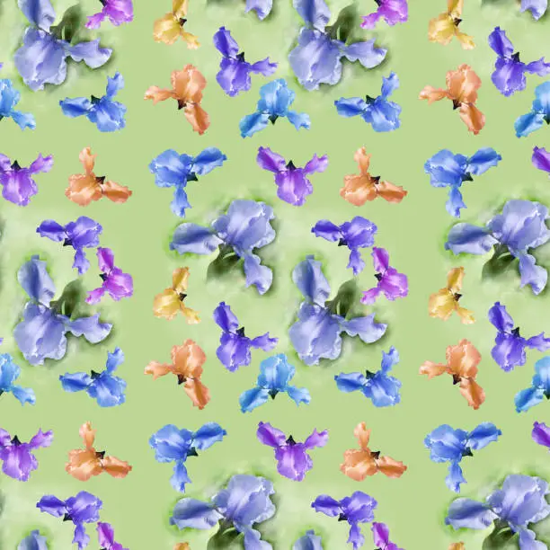 Seamless pattern of multi-colored spring flowers-irises, on a green background