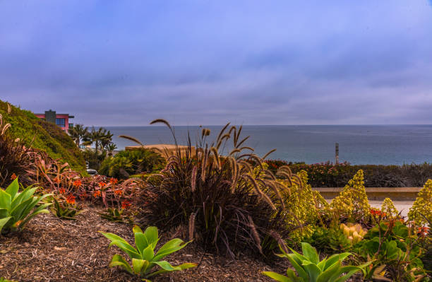 istock The hill sea-viewing. 1321754503