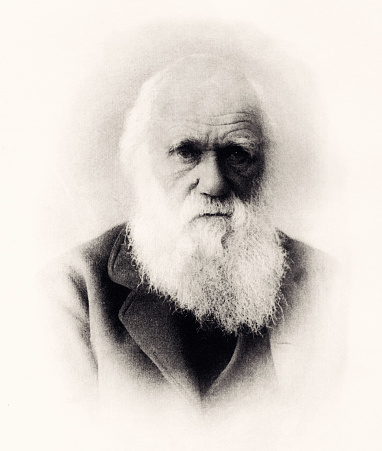 PORTRAIT OF CHARLES DARWIN (1809-1882)  : The Descent of Man.
Charles Robert Darwin, was an English naturalist, geologist and biologist, best known for his contributions to the science of evolution. Vintage etching circa late 19th century. `
Digital restoration by Pictore.