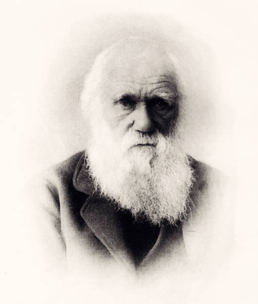 1871 : CHARLES DARWIN      -XXXL with lots of details- vector art illustration