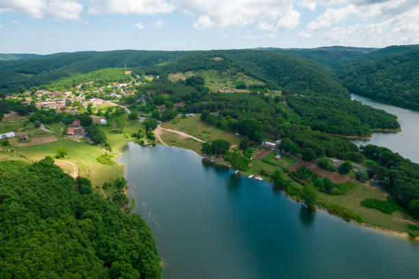 istock Aerial view of Dam and Forest 1321766881