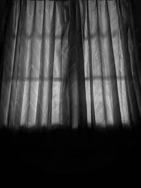 istock Window Curtain jn Black and White 1321770258