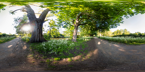 360 Spherical panorama captured on the bank of the River Wensum in the city of Norwich, Norfolk. Captured on a bright and sunny summer's evening.