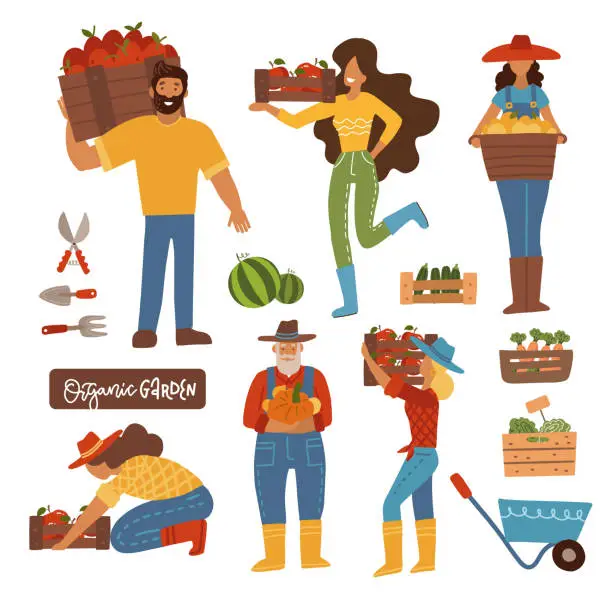 Vector illustration of Harvesting farming people set. Men and women carrying wooden box with harvested production. FMale and female farmers holding basket with apples. tomato. Flat vector cartoon illustration.