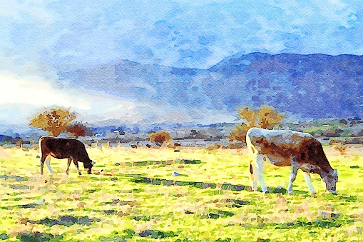 Two cows graze peacefully in a meadow at the foot of the mountain. Digital watercolors painting.