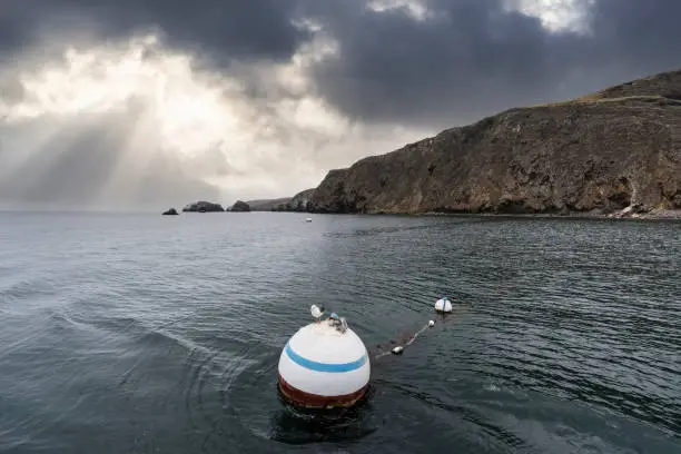 Buoy and Seagull floating at Santa Cruz Island Scorpion Anchorage in Channel Islands National Park near Los Angeles and Ventura, California, USA.