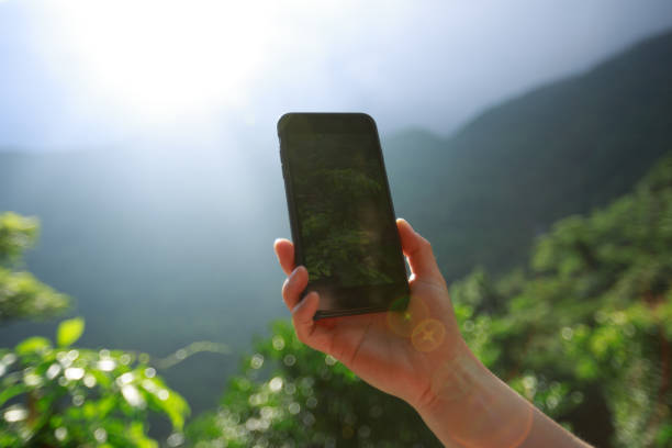 istock Hand using mobile phone taking picture in summer nature 1321792746