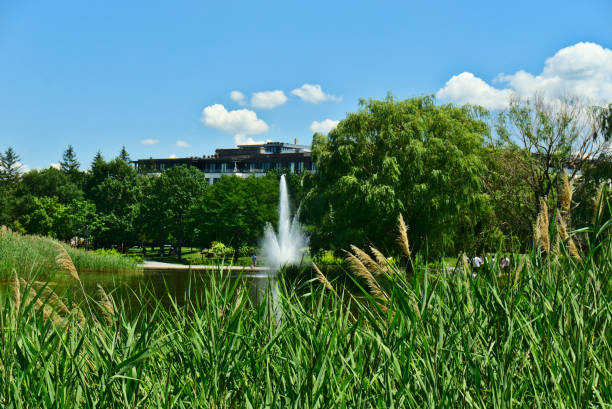A lake with a fountain with grass and trees on a spring sunny day with a clear blue sky in Jarry Park, Montreal, QC. Love, care, romance, happiness, positive energy, inspiration, tranquil concepts stock photo