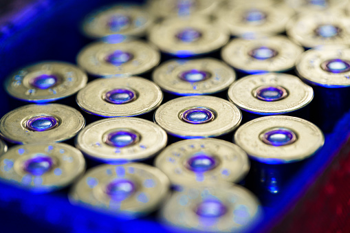 Set of cartridges for a hunting shotgun, close up