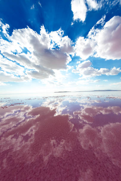 istock Beautiful View of Salt Lake 1321814649