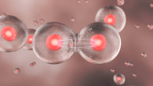 istock Cell division in the human body 1321816200