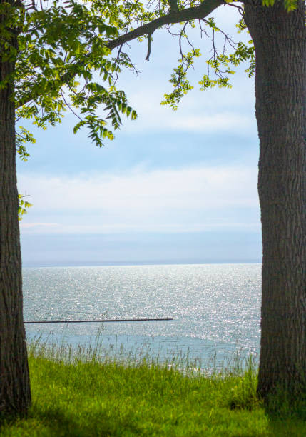 Lake Erie seen through Two Trees