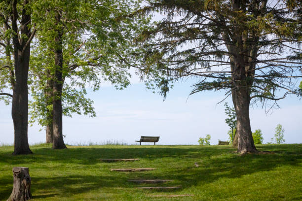 istock Quiet Spot with Bench overlooking the Lake 1321816957
