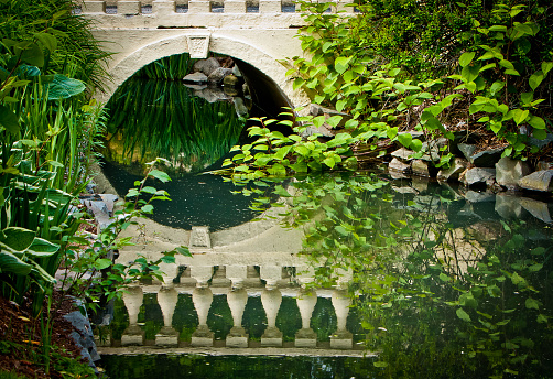 Arched bridge and reflection - lots of greenery